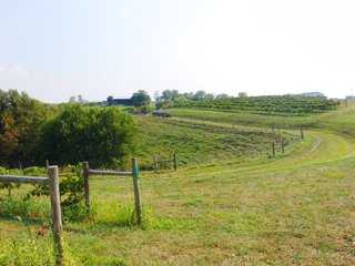 Property photo 11 - REAL ESTATE & RESTAURANT/WINE EQUIPMENT